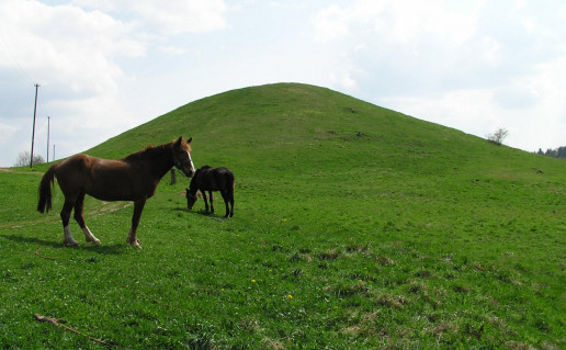 12_Verslavos piliakalnis su gyvenviete (3).jpg